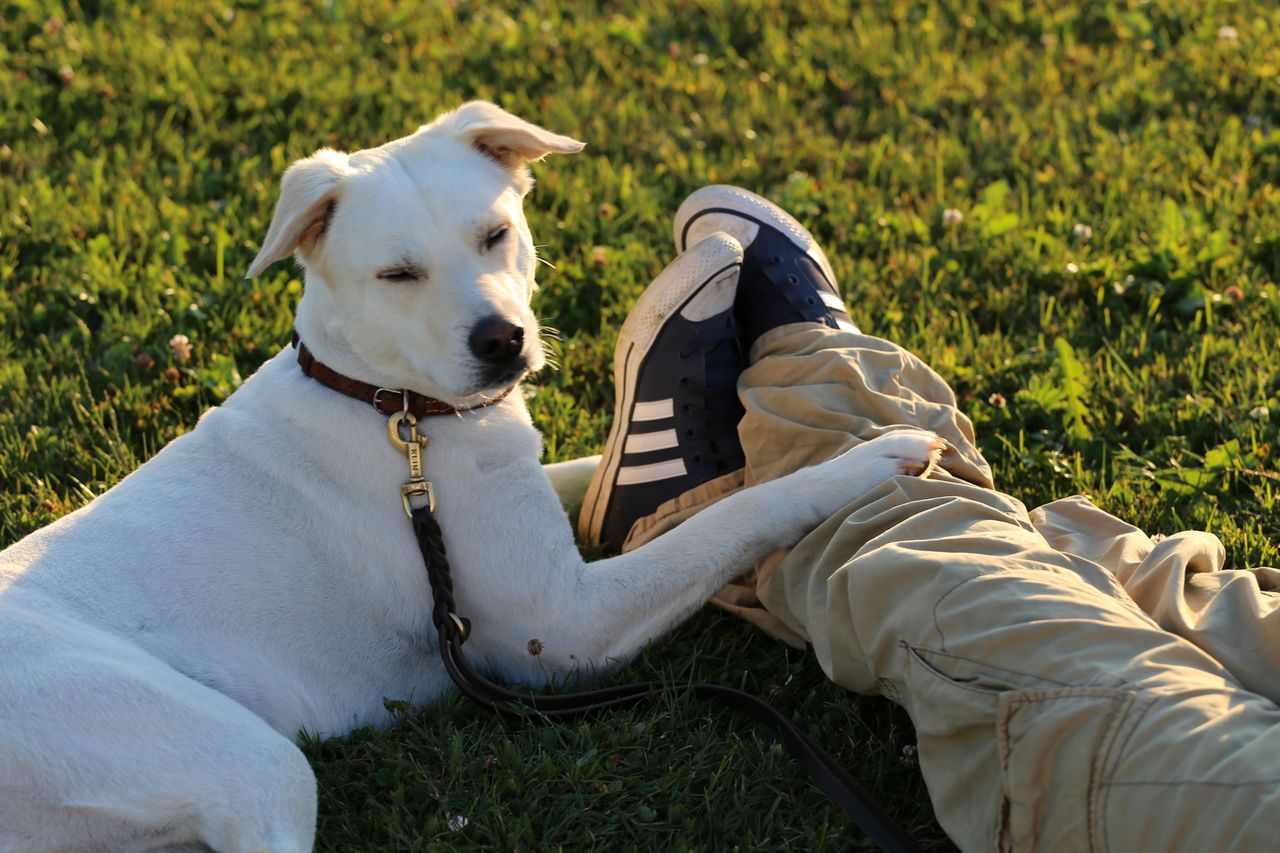 Erstgespräch Einzelstunde Zürich
